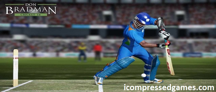 Don Bradman Cricket 14 Highly Compressed