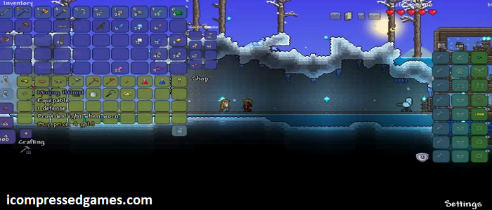 Terraria Pc Game